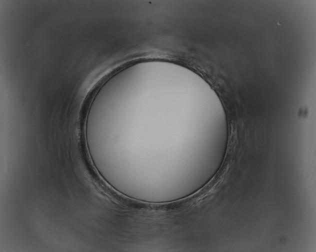 X0000091700247200708240940