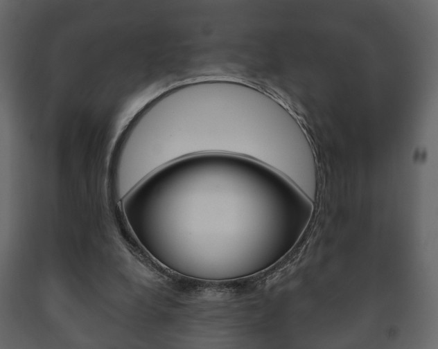 X0000091700248200708240940