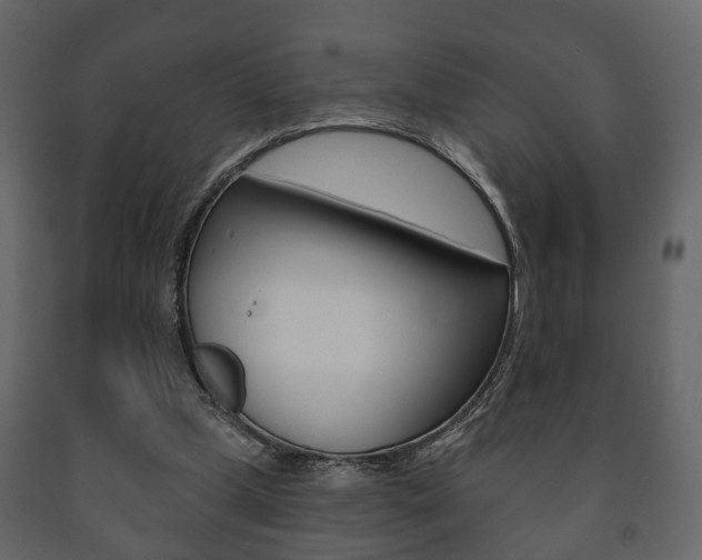 X0000091700249200708240940