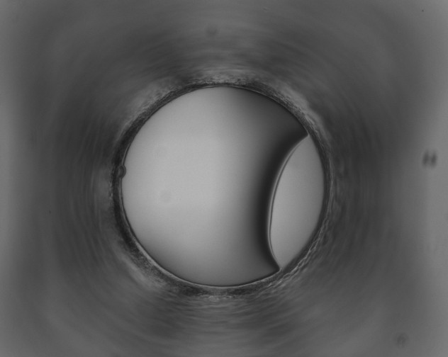 X0000091700250200708240940