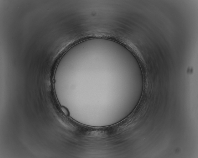 X0000091700251200708240940