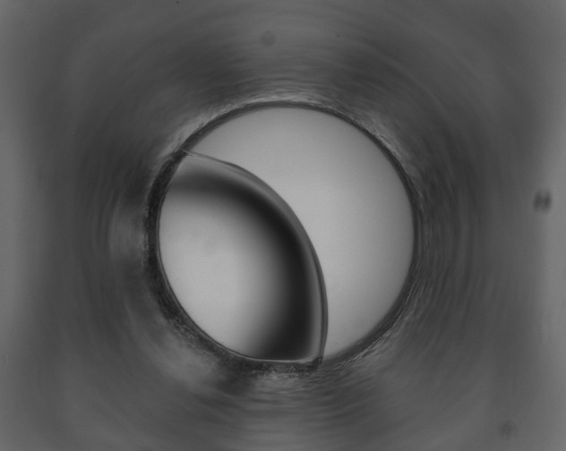 X0000091700252200708240940