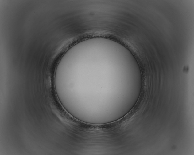 X0000091700254200708240940