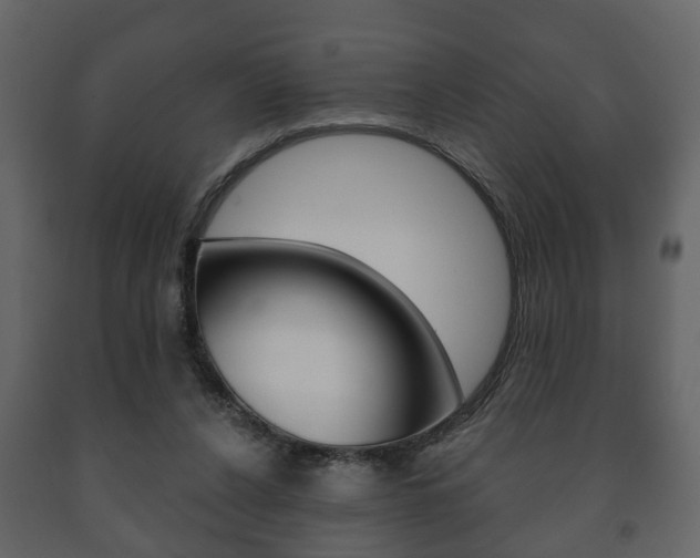 X0000091700256200708240940