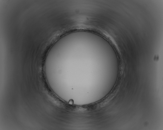 X0000091700257200708240941