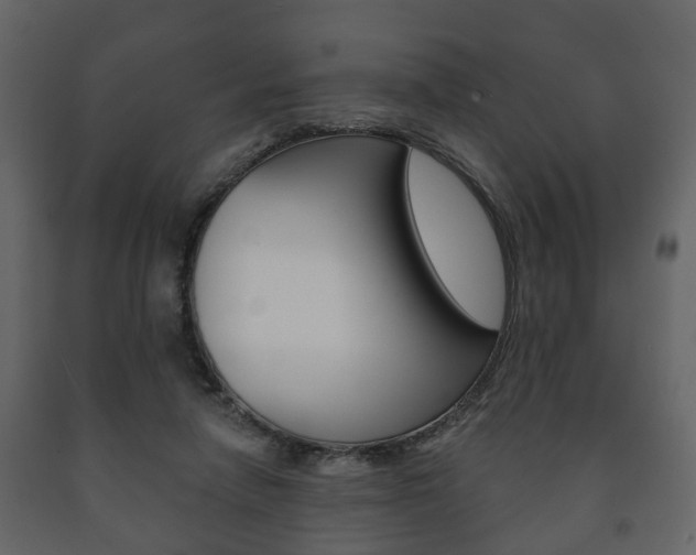 X0000091700258200708240941