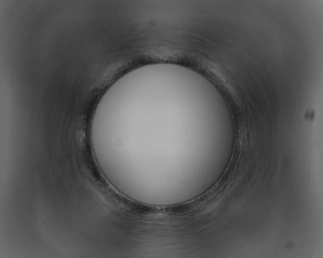 X0000091700259200708240941