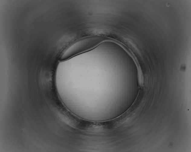 X0000091700260200708240941
