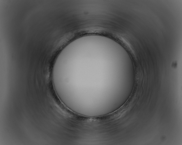 X0000091700261200708240941