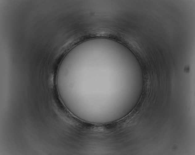 X0000091700262200708240941