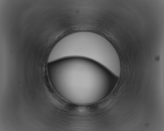 X0000091700264200708240941