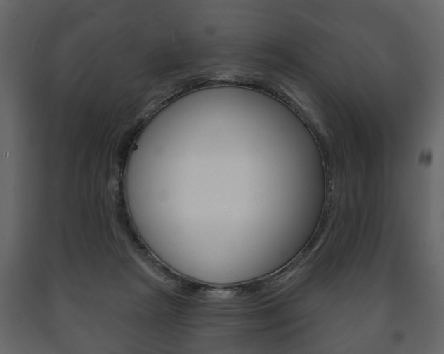 X0000091700265200708240941