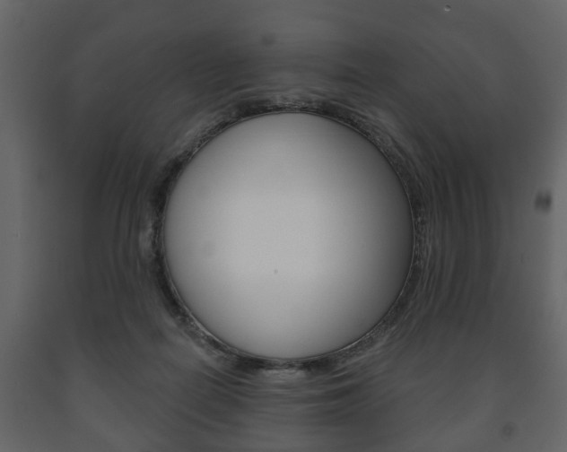 X0000091700266200708240941