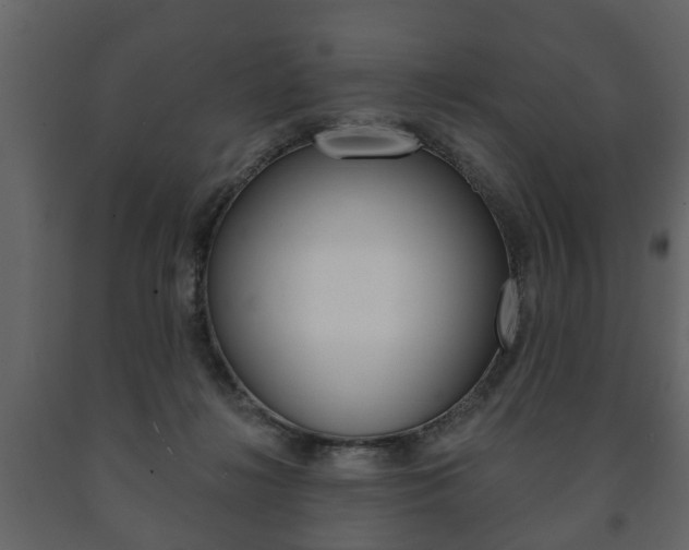 X0000091700268200708240941