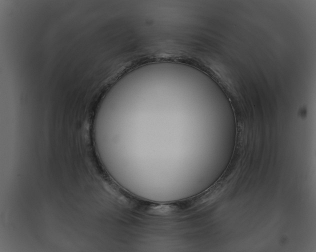 X0000091700269200708240941
