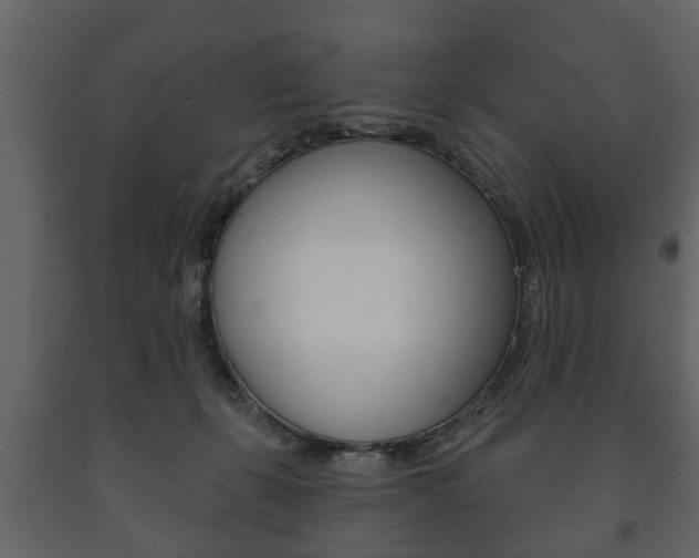 X0000091700271200708240941