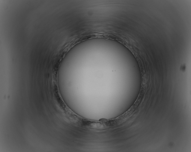 X0000091700272200708240941