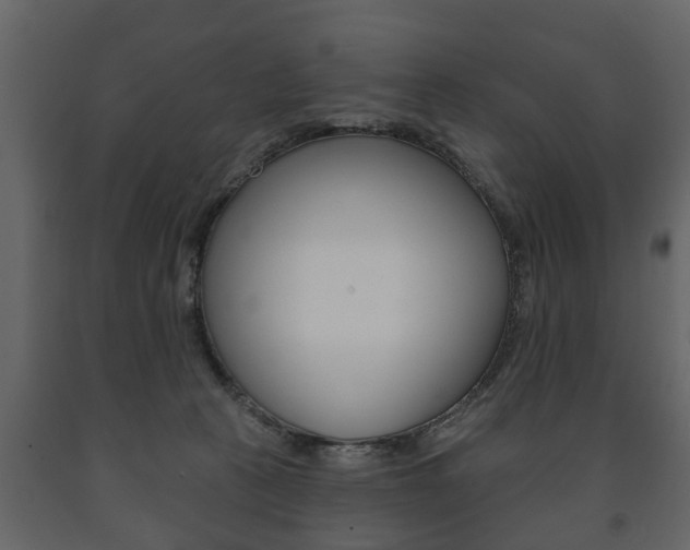 X0000091700273200708240941