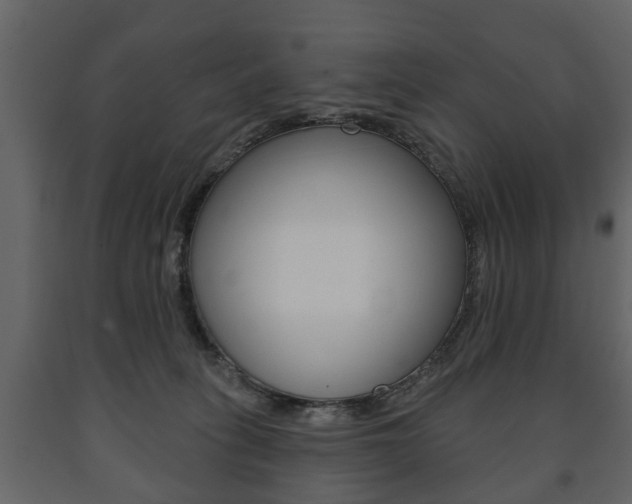 X0000091700275200708240941