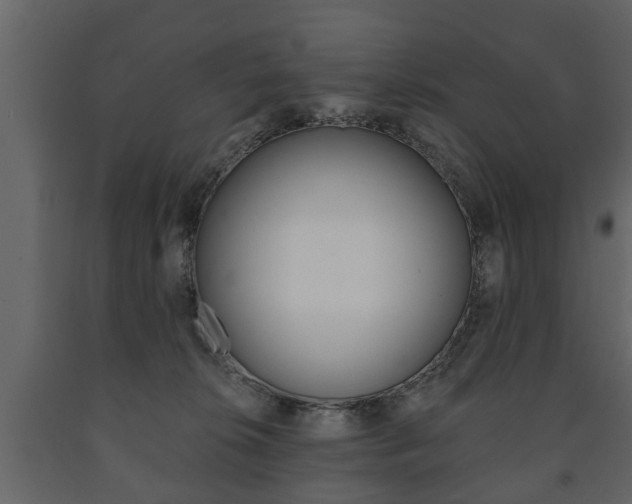 X0000091700276200708240941