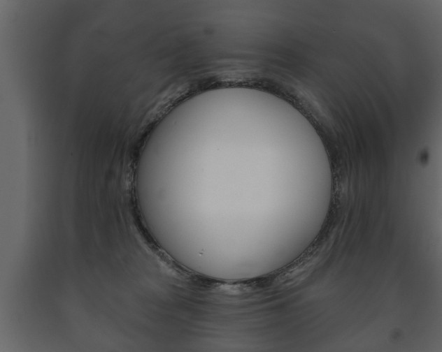 X0000091700277200708240941