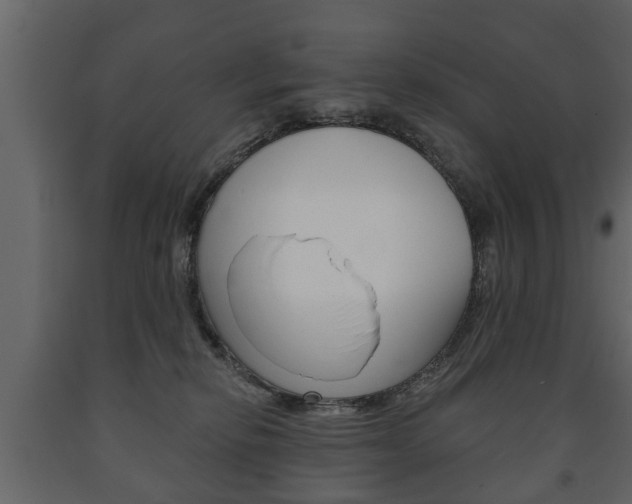 X0000091700278200708240941