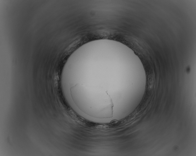 X0000091700279200708240941