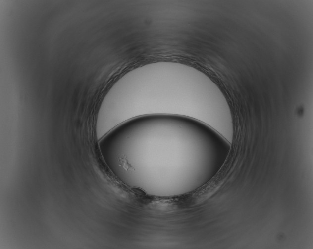 X0000091700280200708240941