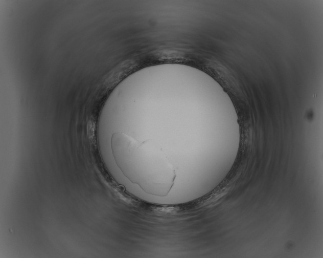 X0000091700281200708240941