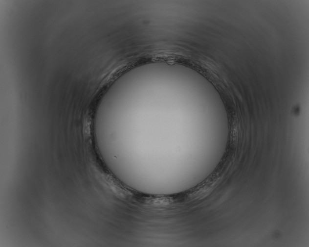 X0000091700282200708240941