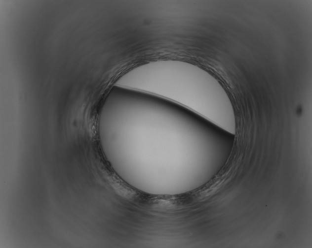 X0000091700285200708240941