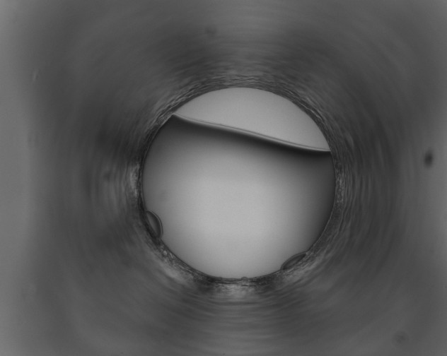 X0000091700286200708240941
