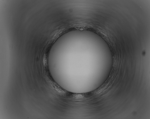 X0000091700287200708240941