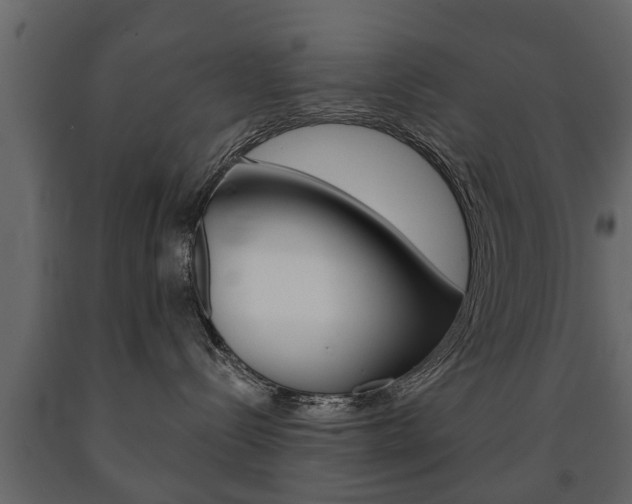 X0000091700288200708240941