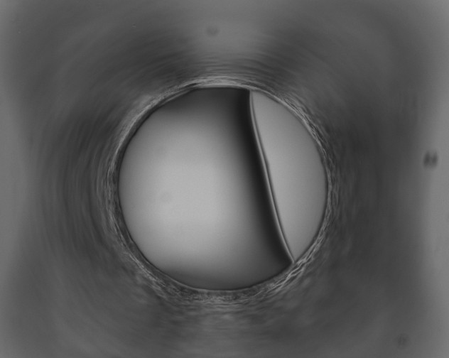 X0000091700289200708240940