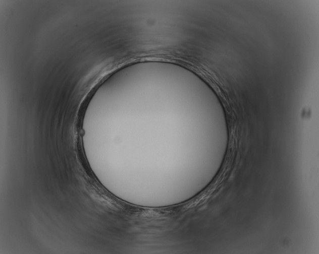 X0000091700290200708240940