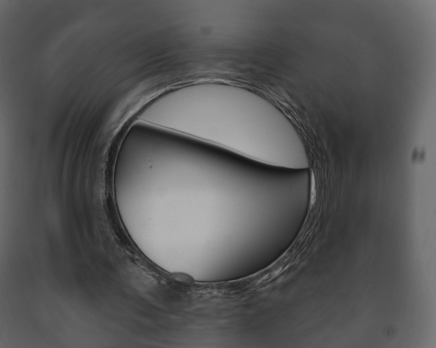 X0000091700291200708240940