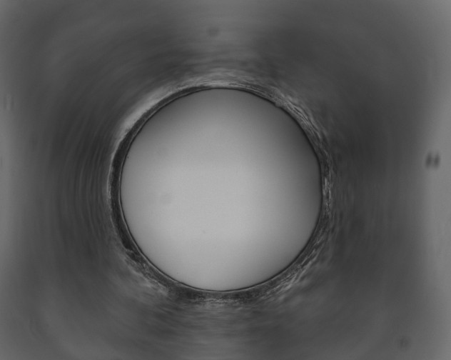 X0000091700292200708240940