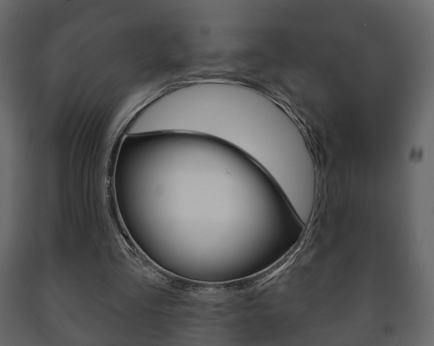 X0000091700293200708240940