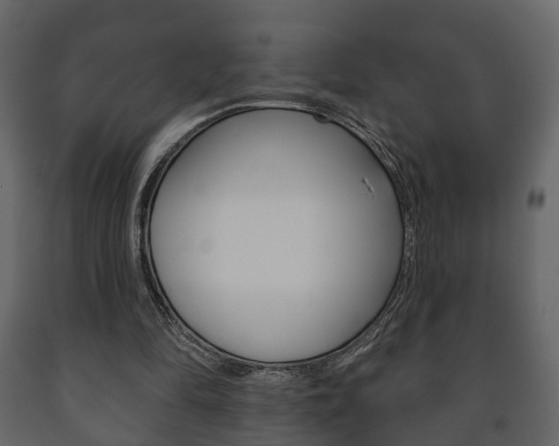 X0000091700294200708240940