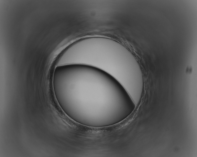 X0000091700295200708240940