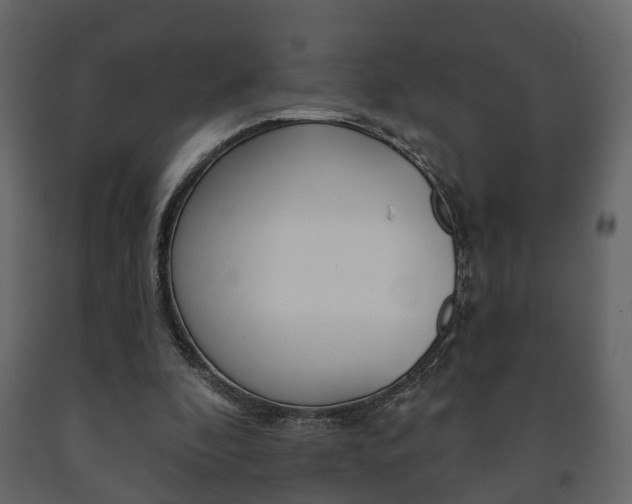 X0000091700296200708240940