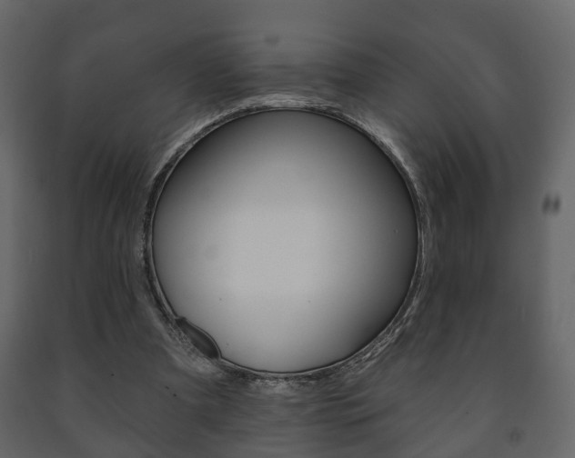 X0000091700297200708240940