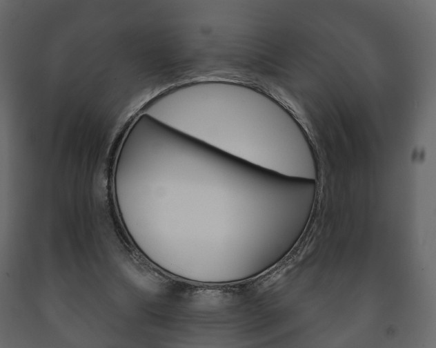 X0000091700298200708240940