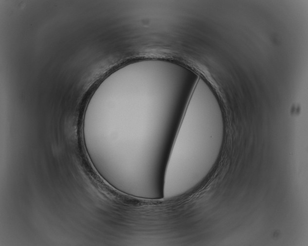 X0000091700299200708240940