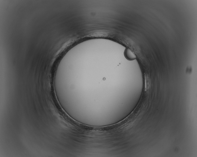 X0000091700300200708240940