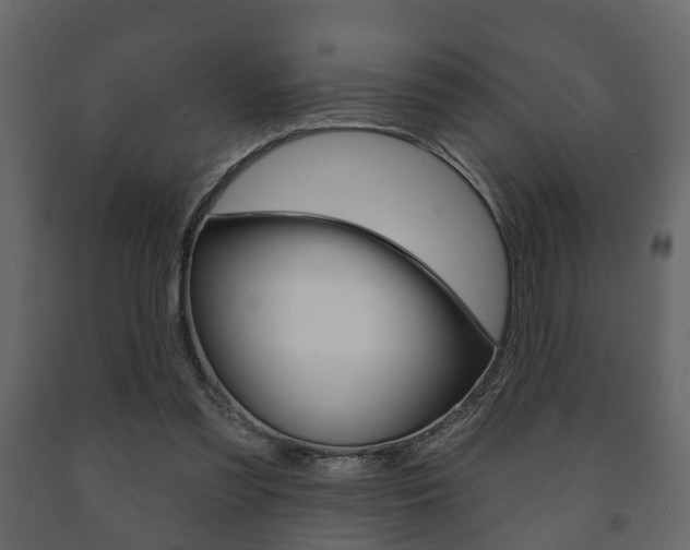 X0000091700301200708240940