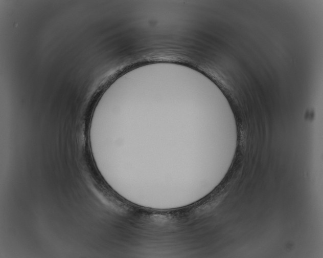 X0000091700302200708240940