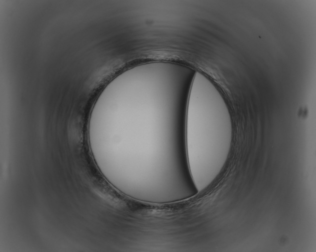 X0000091700303200708240940