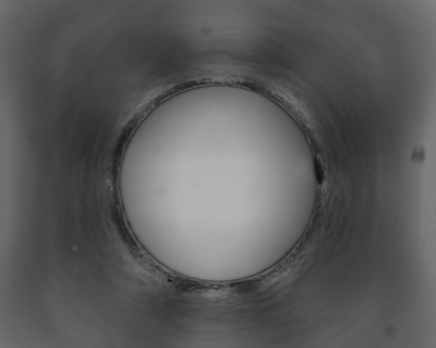 X0000091700306200708240940